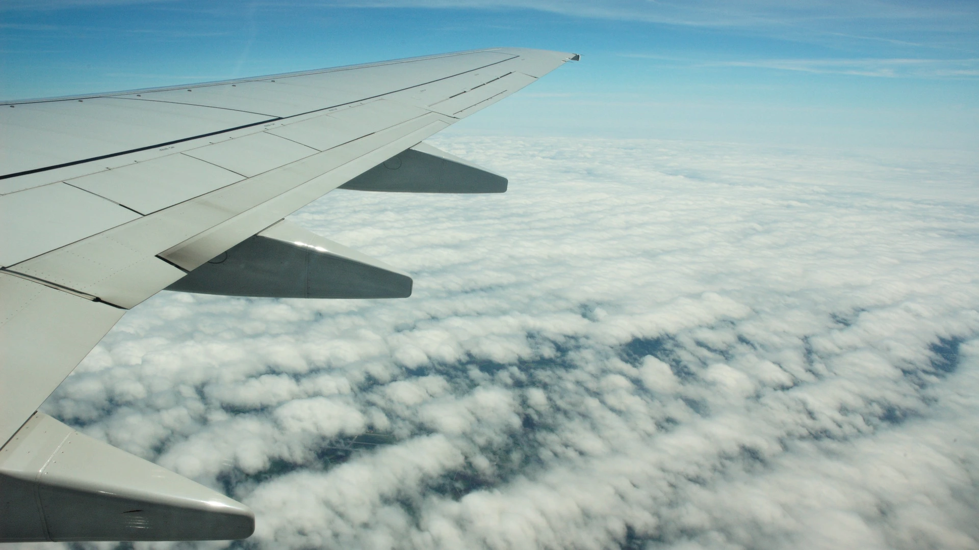 Eleven Buy Signals, Zero Clean Routes: The Price Window's Quiet Complementarity